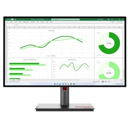 Lenovo ThinkVision P27q-30 LED display 68,6 cm (27")