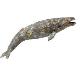 CollectA Szary wieloryb