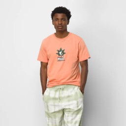 koszulka VANS - Peace Of Mind Ss Melon