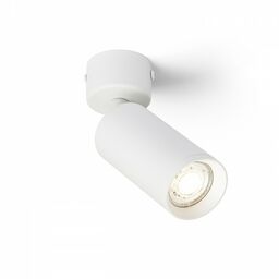 Oprawa sufitowa BELENOS R13363 - Rendl