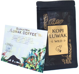 Kawa ziarnista Kopi Luwak 50g wild sumatra
