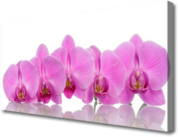 Obraz Canvas Różowa Orchidea Kwiaty