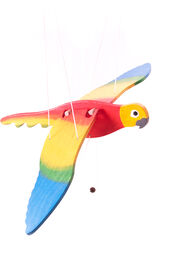 Papuga latająca