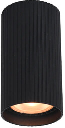 Lampa sufitowa Rilok CLN-83920-S-BK - Italux