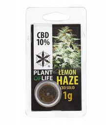 Hasz Lemon Haze 22% CBD Plant Of Life