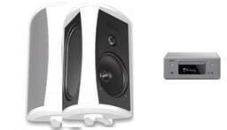 DENON CEOL RCDN-10 GREY + DEFINITIVE TECHNOLOGY AW5500