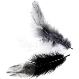 Glorex Deco pióra dekoracyjne, wielokolorowe, 20,5 x 8,5