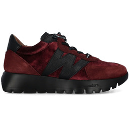 Sneakersy damskie premium - WONDERS A-24111 BORDOWE