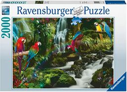 Ravensburger Puzzle 2D 2000 el.: Papugi w dżungli