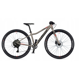 Author Limit 29 Disc Titanium matte 2026 eBon