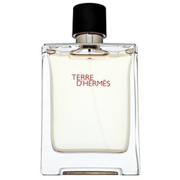 Hermes Terre D''Hermes woda toaletowa dla mężczyzn 100