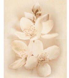 Płytka ścienna DIANA multicolor decor flower glossy 40x50