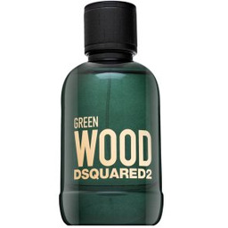 Dsquared2 Green Wood woda toaletowa dla mężczyzn 100