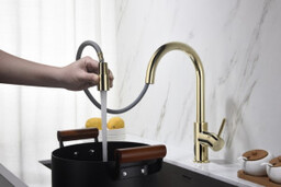 Blue Water PLAZA kolor ZŁOTY PLAZA Bateria kuchenna