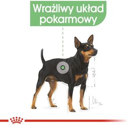 ROYAL CANIN CCN Digestive Care 12x85g karma mokra