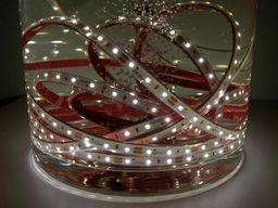Taśma LED LEDline 300SMD3528 IP67 biała dzienna