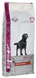 EUKANUBA Adult Labrador Retriever - sucha karma