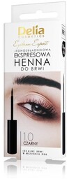 DELIA Eyebrow Expert Henna do brwi ekspresowa 1.0