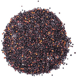 Komosa ryżowa (quinoa) czarna 10kg