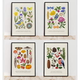 Pakamera Plakat ZESTAW Cztery pory roku 30x40cm