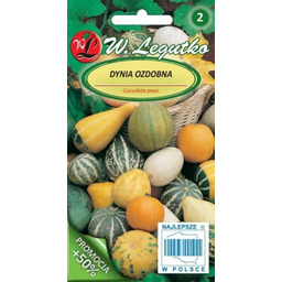 Dynia ozdobna mieszanka