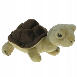Pluszowe ZOO: Maskotka Zółw lądowy 25cm (31129)