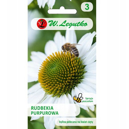 Rudbekia purpurowa, Jeżówka - biała