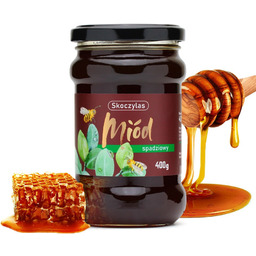 Skoczylas - MIÓD spadziowy - 400 g