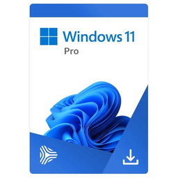 Licencja ESD Windows 11 Pro AllLng 64bit