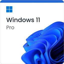 Oprogramowanie Windows 11 Pro 64Bit Polish 1pk DSP
