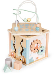 Drewniana kostka edukacyjna sorter klocki Ecotoys