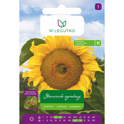 Słonecznik ogrodowy, nasiona paskowane