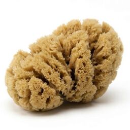 Naturalna gąbka morska Silk 16-18 cm bardzo trwała,
