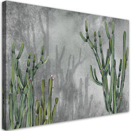 Obraz, Duży kaktus pustynny 60x40