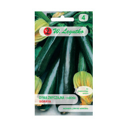 Dynia zwyczajna - cukinia Soraya - ciemnozielona