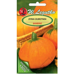 Dynia olbrzymia Bambino - pomarańczowa, owoc ok.15 kg