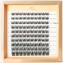 Many Beauty - Many Lashes - Master Box