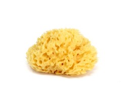 Ok Baby Naturalna gąbka do mycia Honeycomb 10