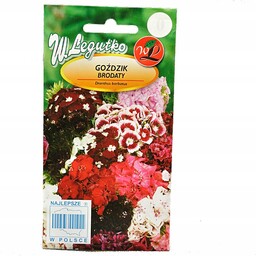 Goździk brodaty o kwiatach pojedynczych mieszanka