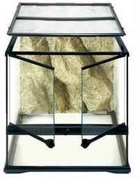 EXOTERRA Terrarium szklane SMALL, 45x45x45cm