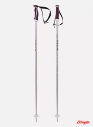 Völkl Kije narciarskie Volkl PHANTASTICK W silver 2024/2025