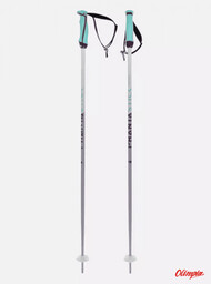 Völkl Kije narciarskie Volkl PHANTASTICK W purple 2024/2025