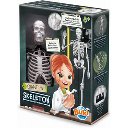 Szkielet człowieka 45 cm do samodzielnego złożenia