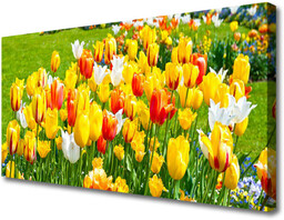 Obraz Canvas Tulipany Kwiaty Natura