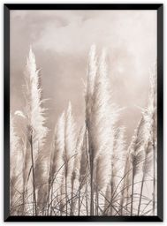Obraz Grass, 30 x 40 cm