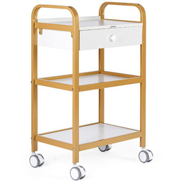 Pomocnik kosmetyczny fryzjerski do salonu uniwersalna szafka wózek