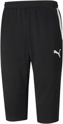 PUMA mens Pants, Puma Black-Puma White, XL Teamliga