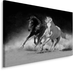 Muralo Obraz Czarno-Biały Konie w Galopie 3D 40x30cm