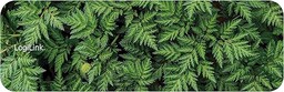 LogiLink ID0169 "Wald" Gaming podkładka pod klawiaturę