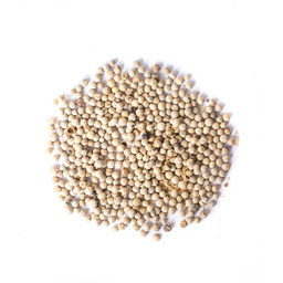 Pieprz biały ziarno 5kg